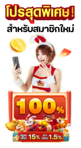 โปรพิเศษหน้าเว็บpng