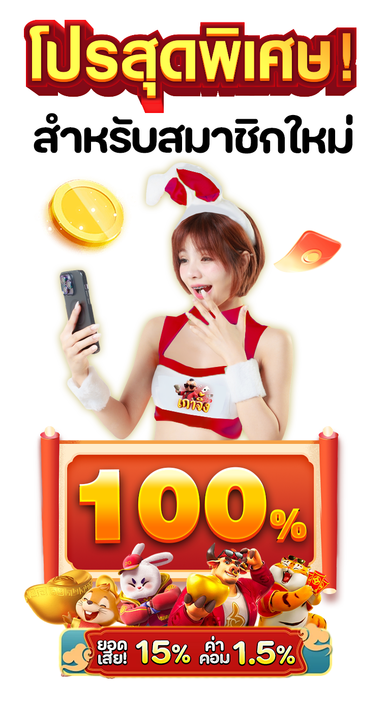 โปรพิเศษหน้าเว็บpng